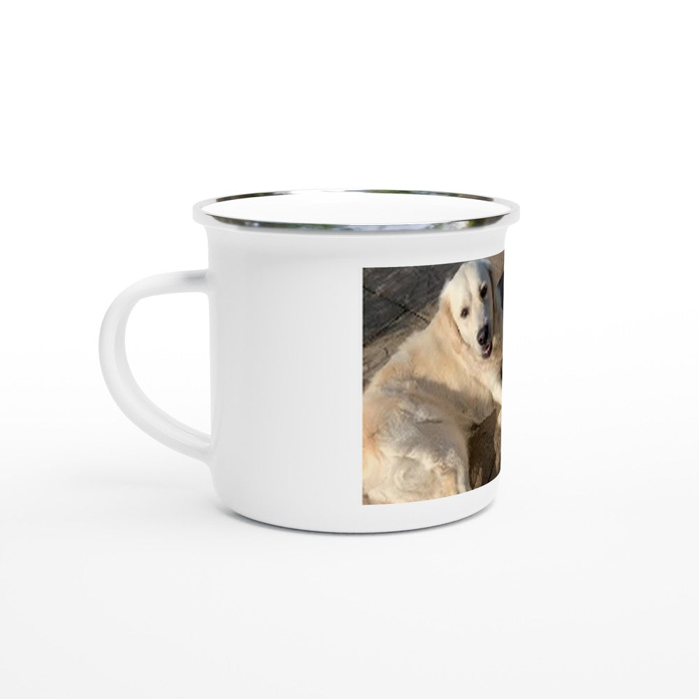 154ab4aa-7a29-4e1d-b5e5-9e1e215d7278