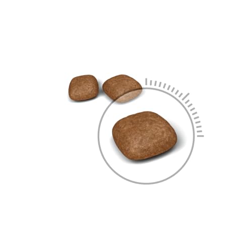 ROYAL CANIN Urinary Care Cat Food, 2 kg