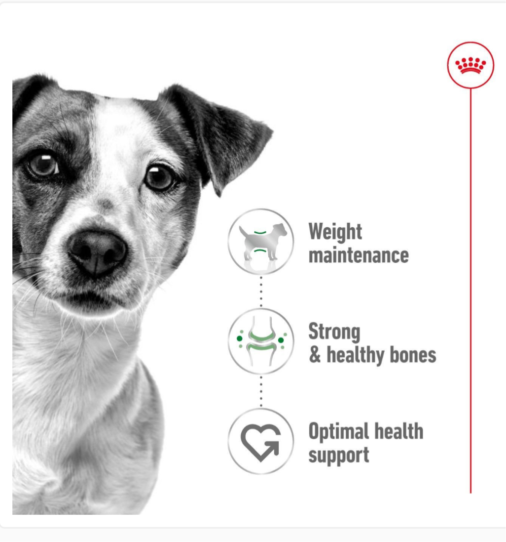Royal Canin Mini Adult 2kg