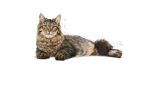 ROYAL CANIN Urinary Care Cat Food, 2 kg