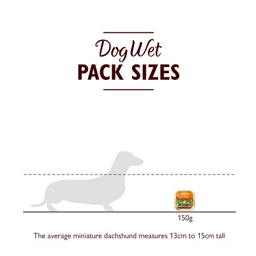 Lily's Kitchen Natural Adult Wet Dog Food Tray Cottage Pie Grain-Free Recipe 10 x 150g