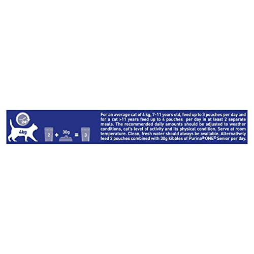 PURINA ONE Adult Cat Food Mini Fillets in Gravy 40 x 85g