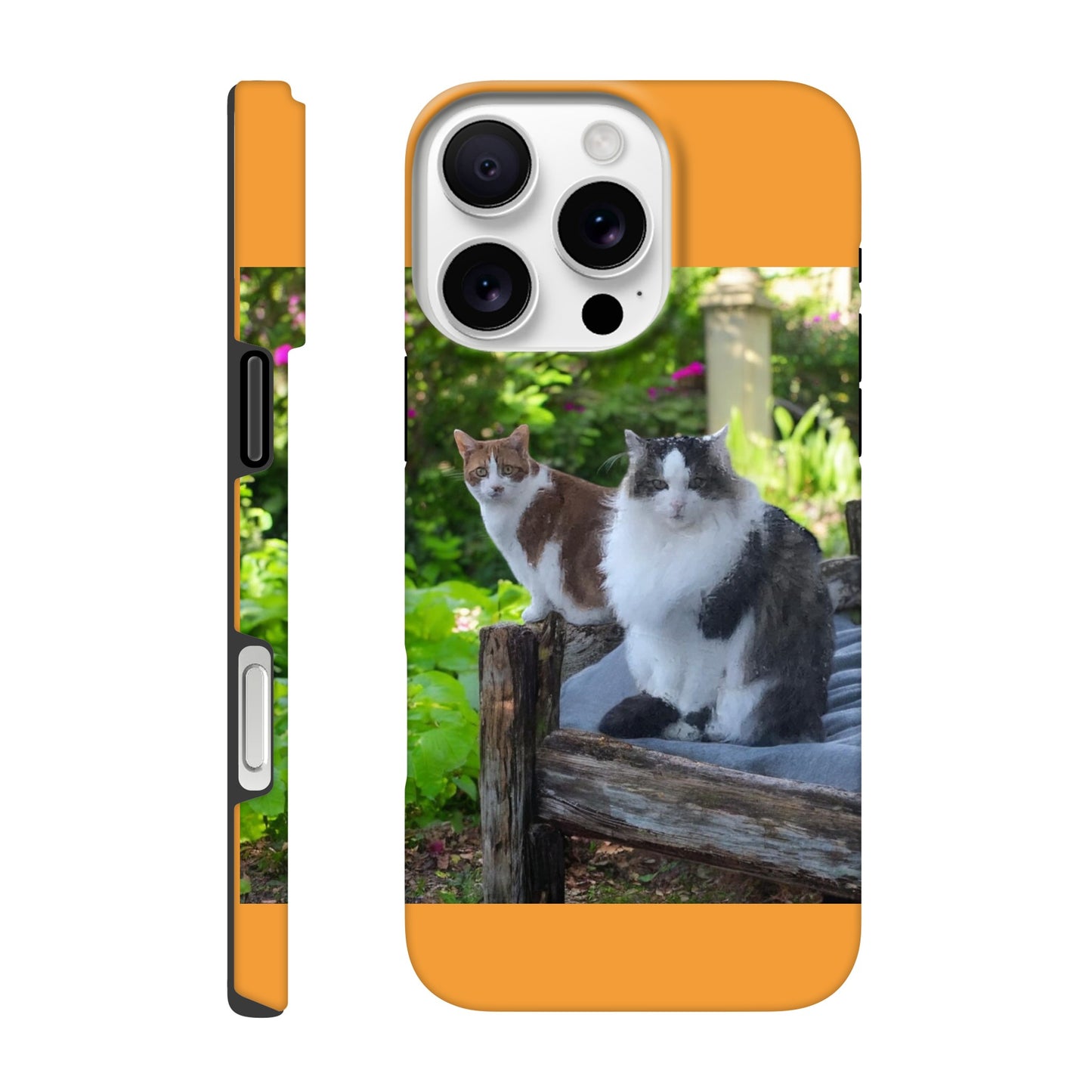 3a42a415-5bb2-47d2-be34-3215edd51dcd