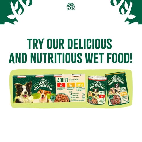 James Wellbeloved Dog Adult Hypoallergenic Dry Food Grain Free