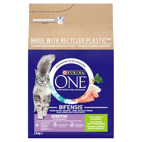 PURINA ONE | Dry Cat Food