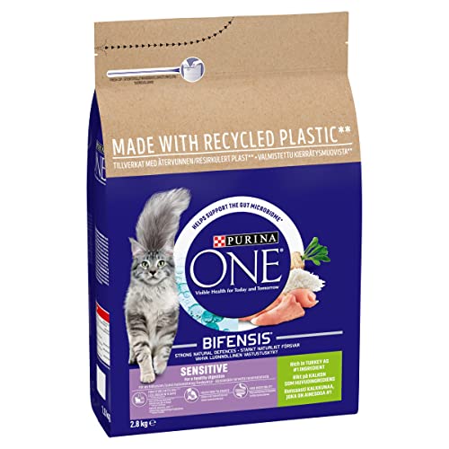 PURINA ONE Dry Cat Food