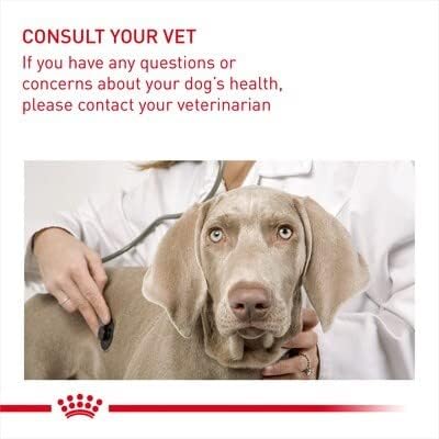 Royal Canin Light Weight Care Adult Dog Wet Pouches 85g