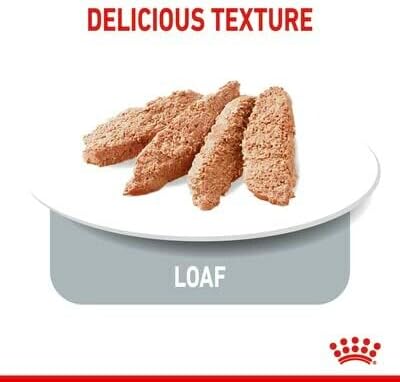 Royal Canin Light Weight Care Adult Dog Wet Pouches 85g