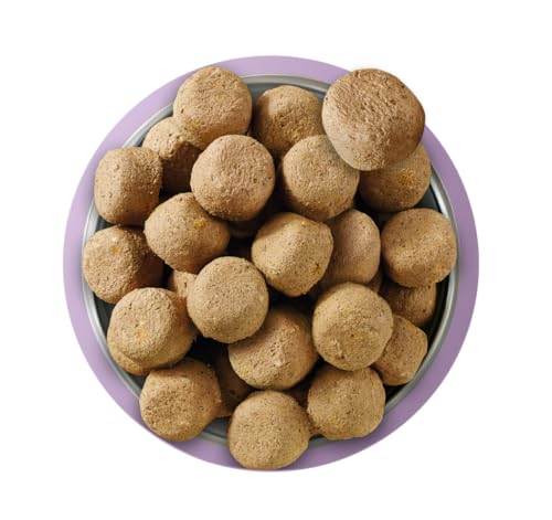 Natures Menu Freeze Dried Complete & Balanced Nuggets