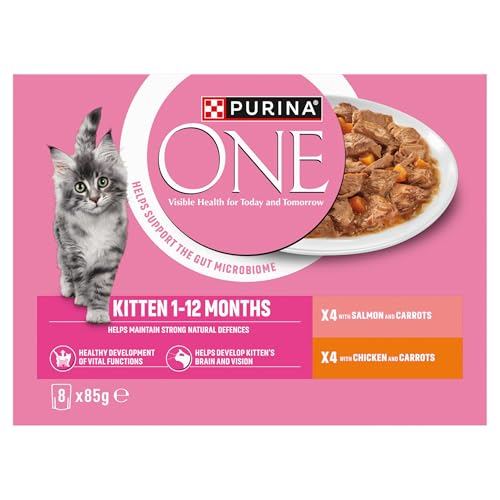 PURINA ONE Adult Cat Food Mini Fillets in Gravy 40 x 85g