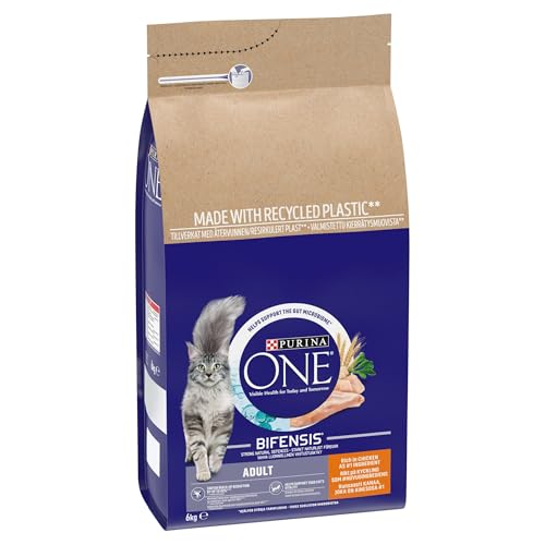 PURINA ONE Dry Cat Food