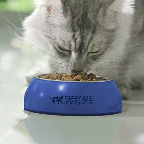 PURINA ONE Dry Cat Food