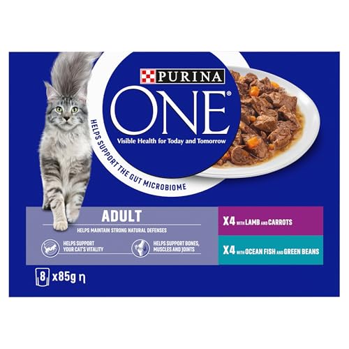 PURINA ONE Adult Cat Food Mini Fillets in Gravy 40 x 85g