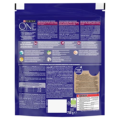 PURINA ONE Dry Cat Food