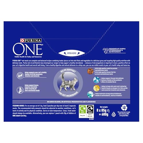 PURINA ONE Adult Cat Food Mini Fillets in Gravy 40 x 85g