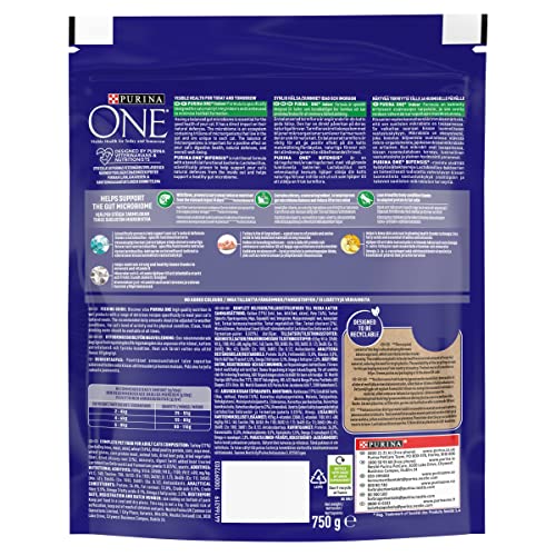 PURINA ONE Dry Cat Food