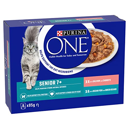 PURINA ONE Adult Cat Food Mini Fillets in Gravy 40 x 85g