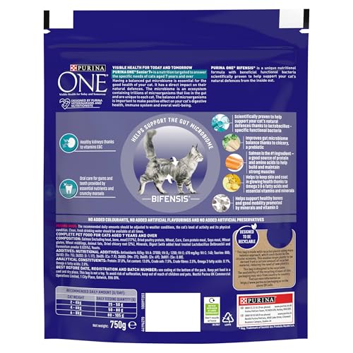 PURINA ONE | Dry Cat Food
