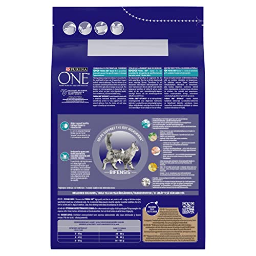 PURINA ONE Dry Cat Food