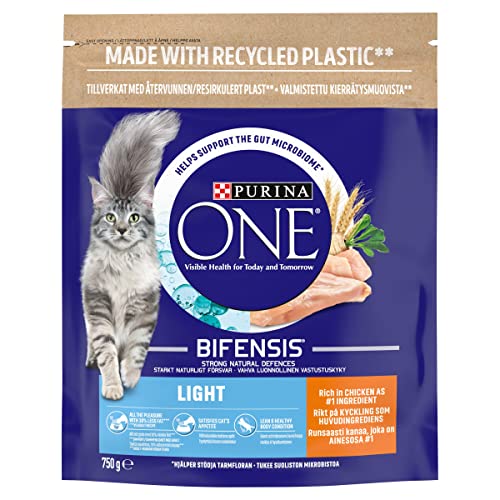 PURINA ONE Dry Cat Food