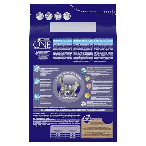 PURINA ONE | Dry Cat Food