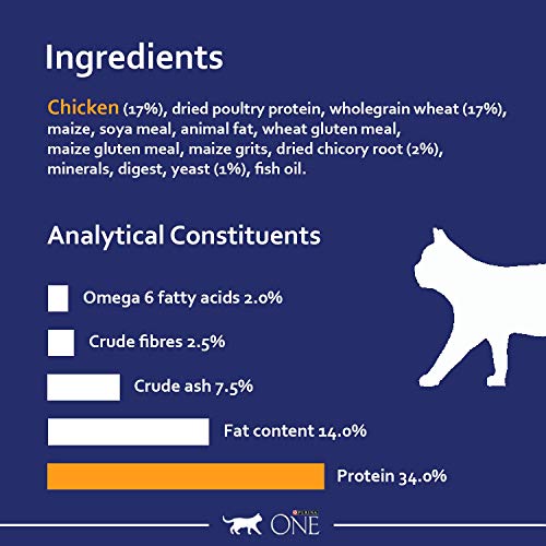 PURINA ONE Dry Cat Food
