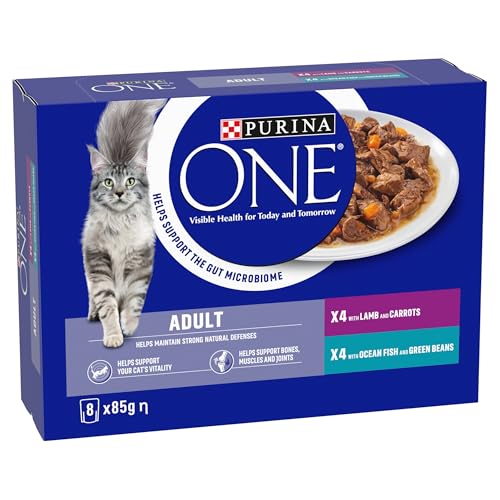 PURINA ONE Adult Cat Food Mini Fillets in Gravy 40 x 85g
