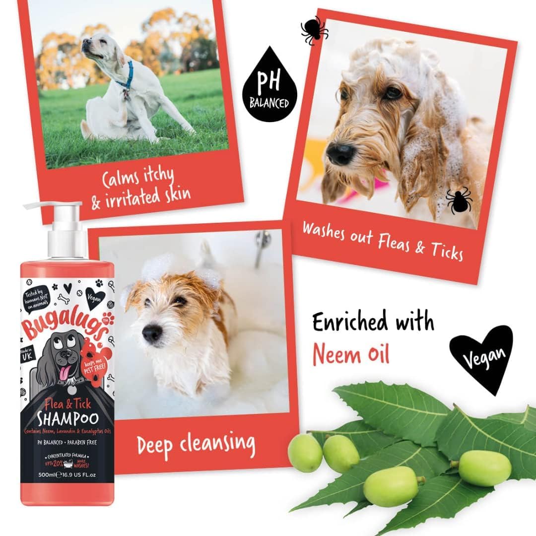 Flea and Tick Dog Shampoo by Bugalugs, Works on Smelly Puppies & Dogs, Contains Neem Oil PH Balanced Vegan Used by Professional Groom (Shampoo 500ml)