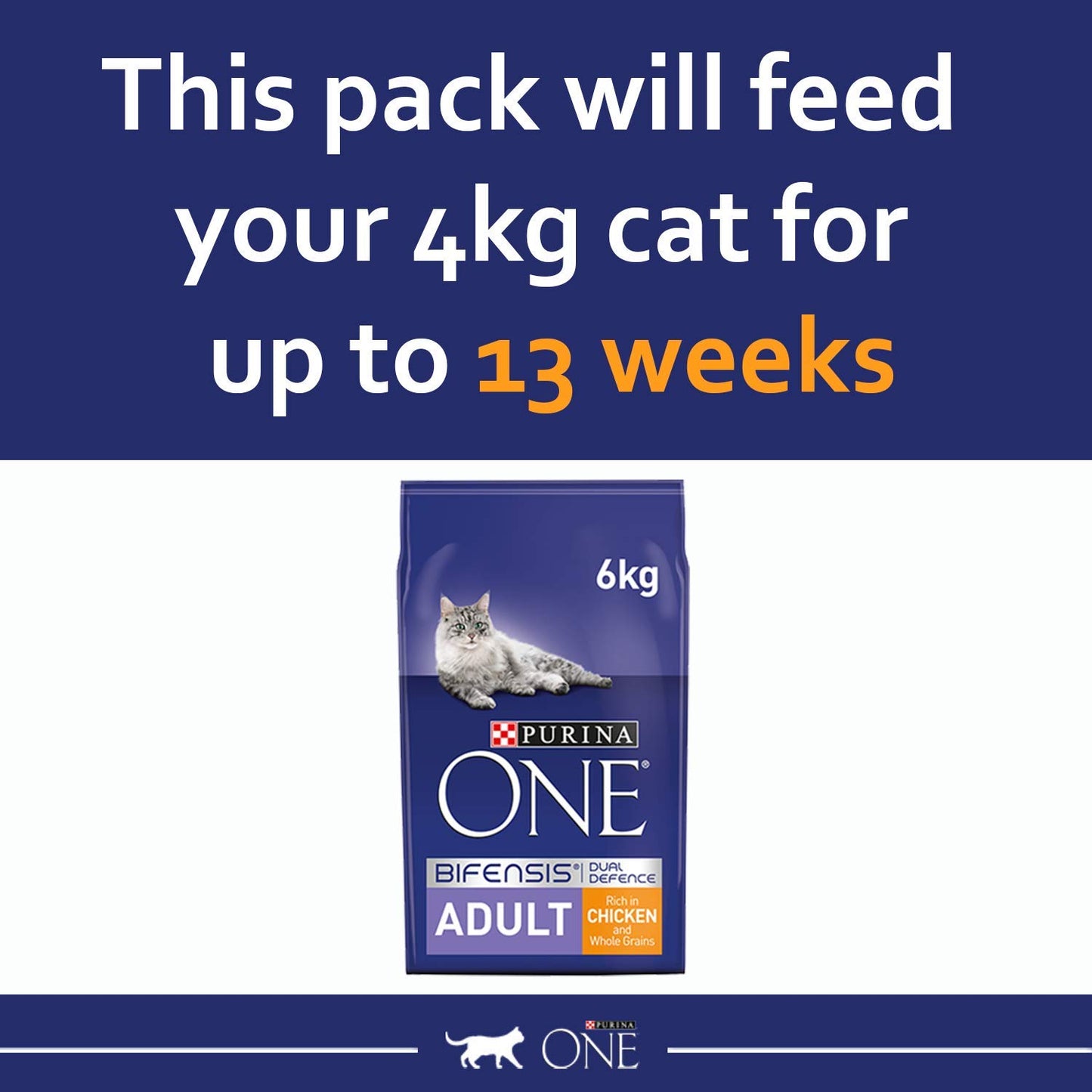 PURINA ONE Dry Cat Food