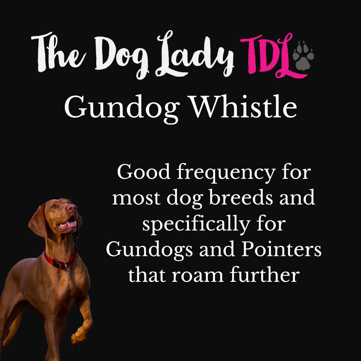 TDL Gun Dog Training Whistle with Lanyard - Dog Whistle with Loud, Solid Tone & Far Reaching Sound - Ideal High-Frequency Long-Distance Dog Recall Whistle for Most Breeds