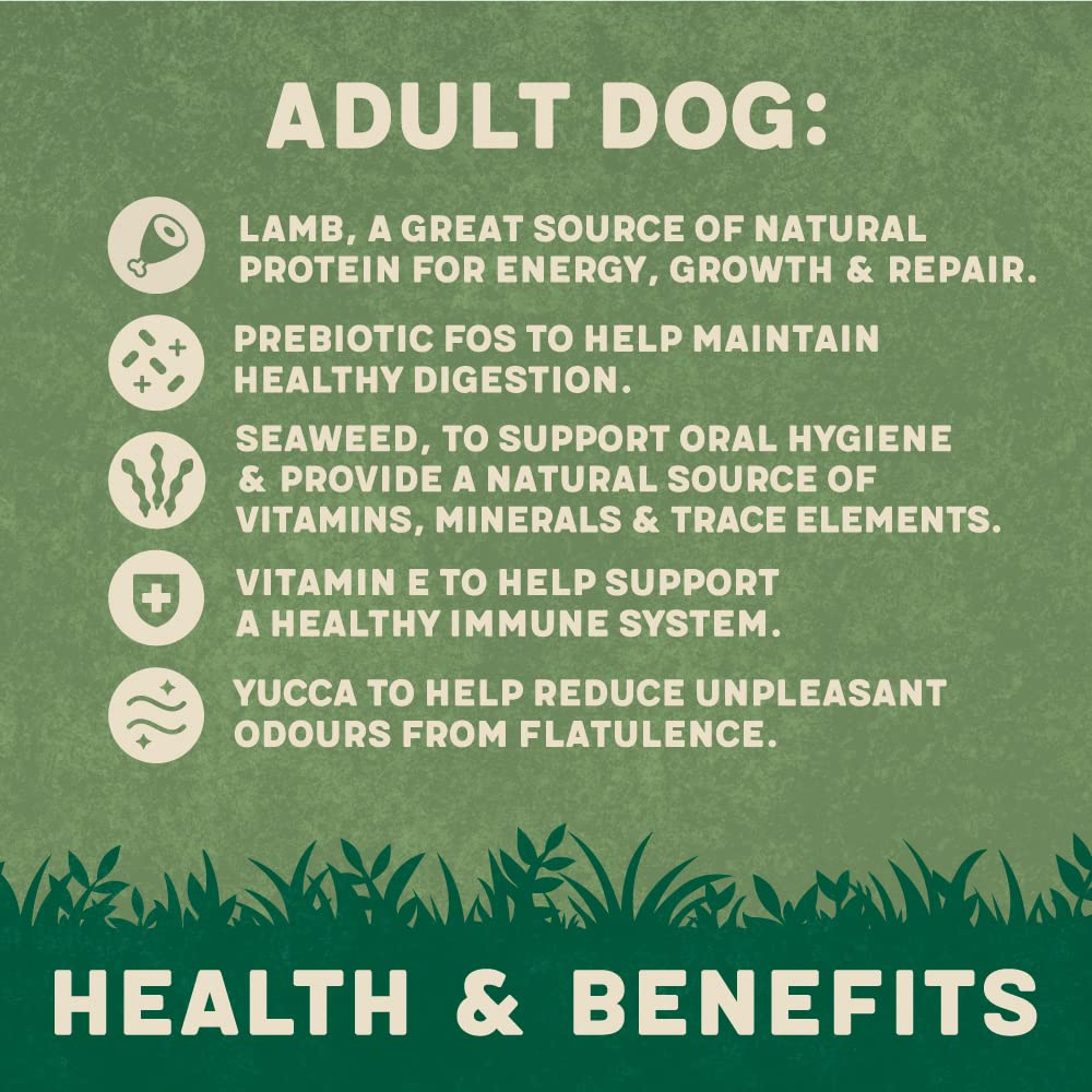 Harringtons Complete Dry Dog Food - Made with All Natural Ingredients