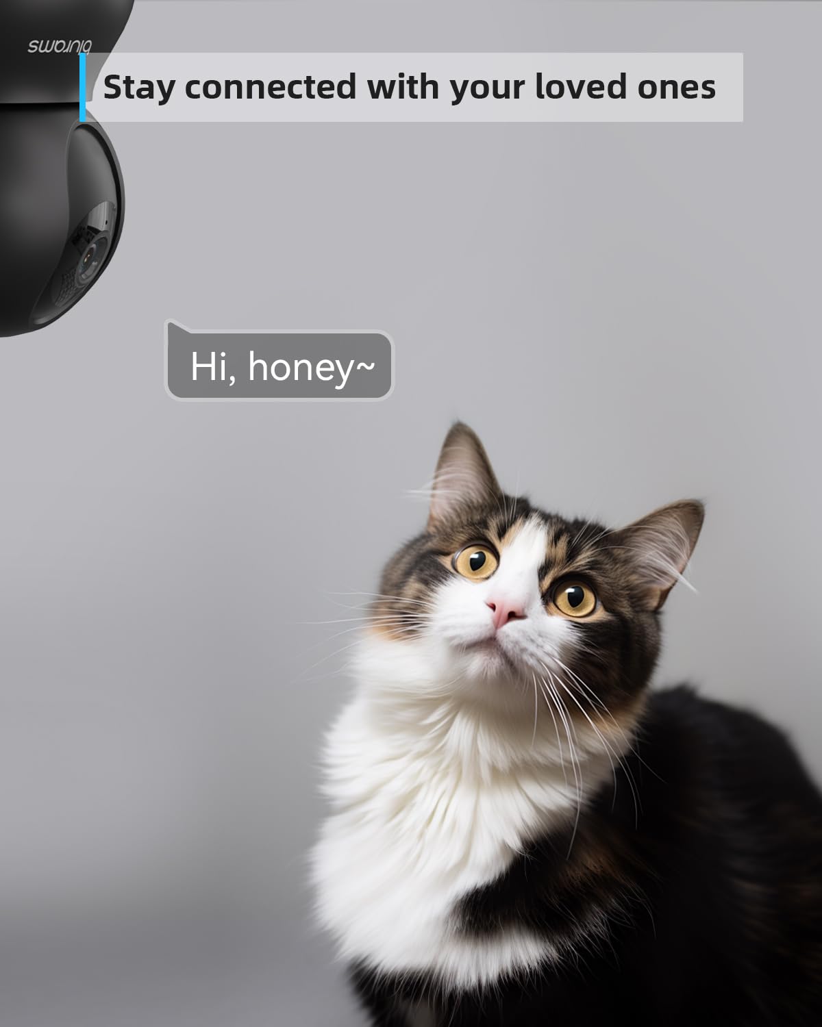 blurams Pet Camera 2K, Indoor Camera, Dog Camera, 360° Home Security Camera, Night Vision, Motion Tracking, 2-Way Talk, Cloud&SD, APP Control, Works with Alexa