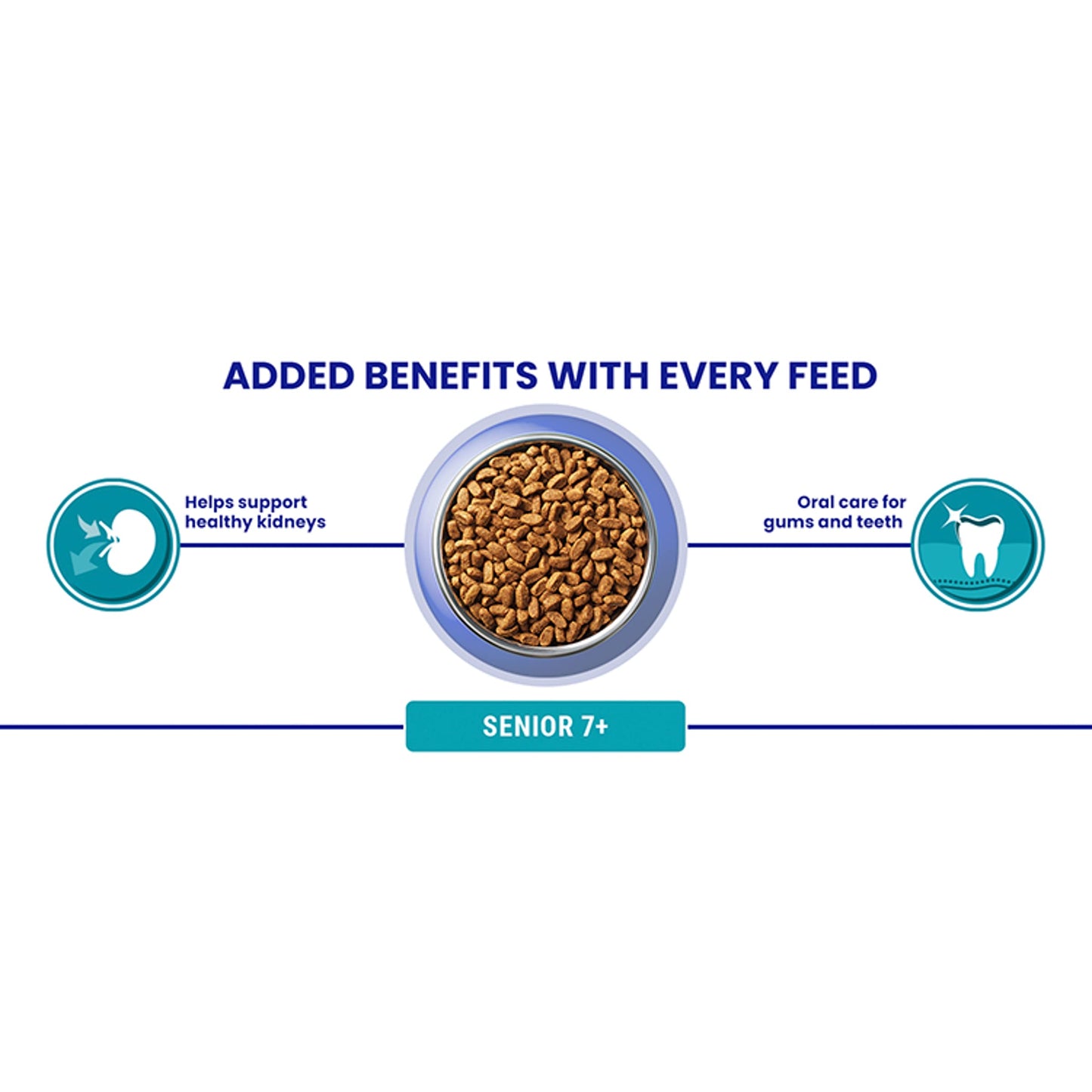 PURINA ONE Dry Cat Food
