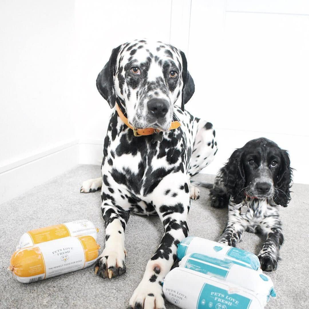 Healthy & Tasty Fresh Dog Food by Pets Love Fresh - 100% Natural - Real British Meat - Zero Preservatives - SimHealthy & Tasty Fresh Dog Food by Pets Love Fresh - 100% Natural - Real British Meat - Zero Preservatives - Simply Chicken (5 x 600g chub rolls)