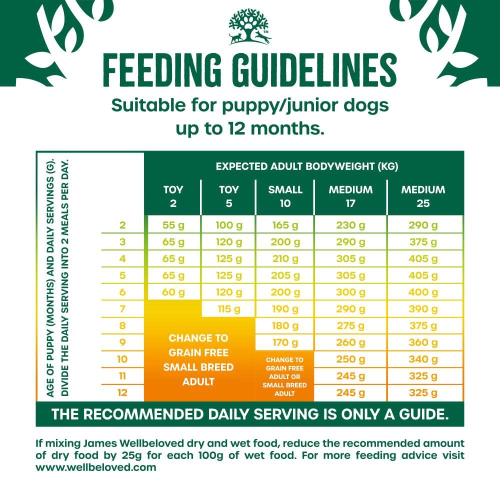 James Wellbeloved Dog Adult Hypoallergenic Dry Food Grain Free