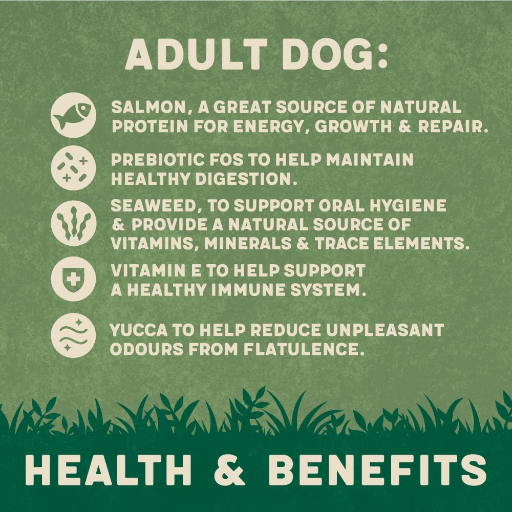 Harringtons Complete Dry Dog Food - Made with All Natural Ingredients