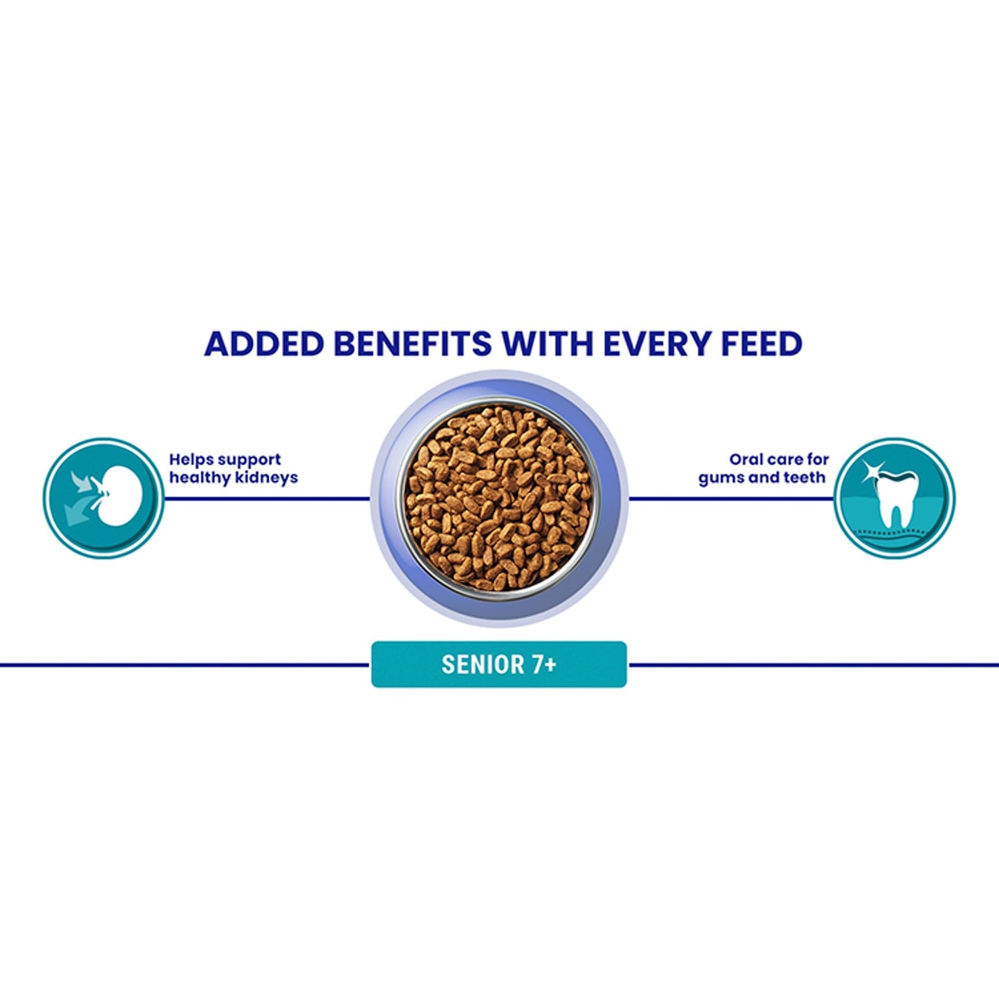 PURINA ONE | Dry Cat Food