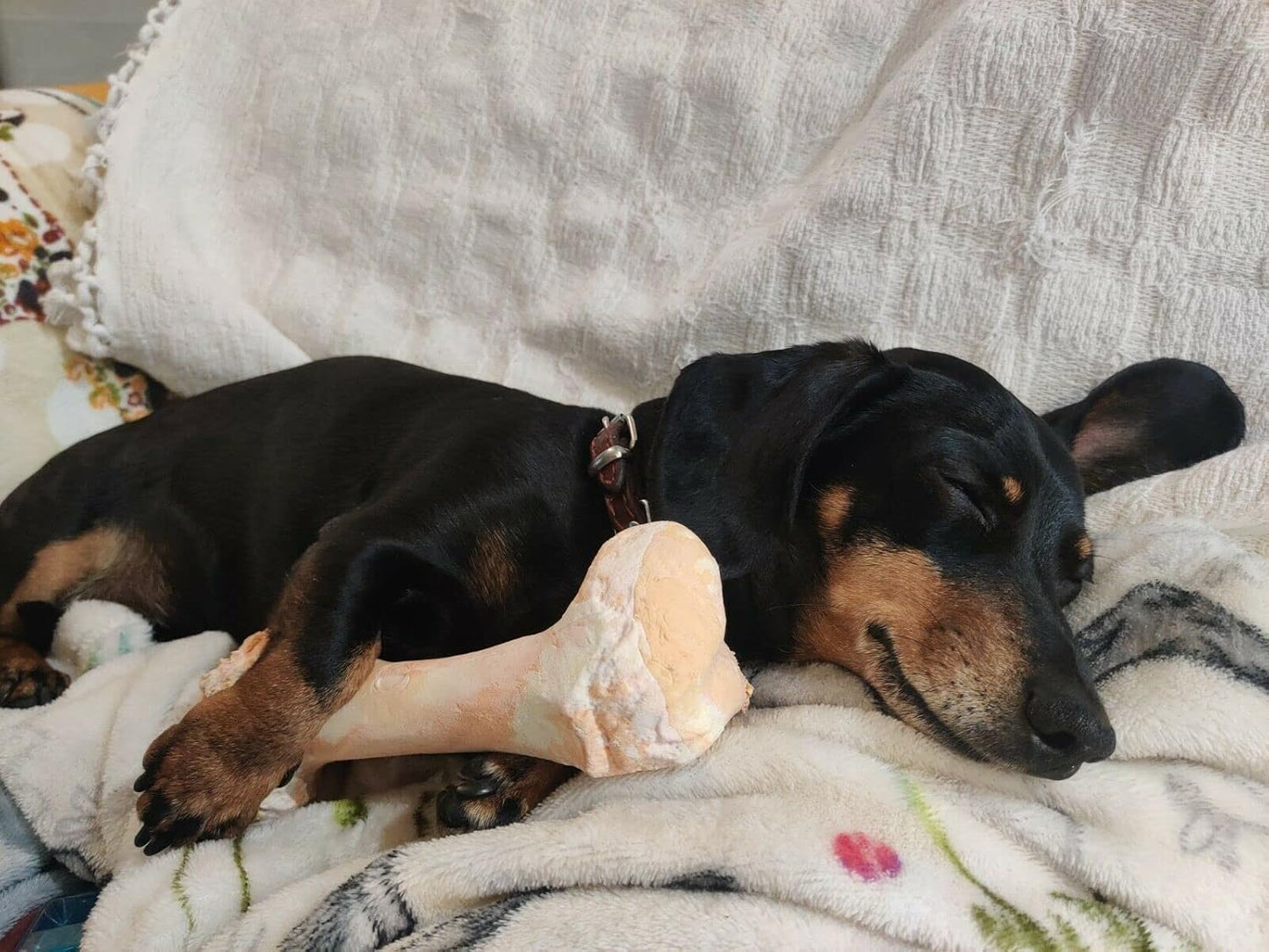 Bone Chew Toy for Dogs, Hardwearing, Durable Boredom Buster Dog Toy, Strong and Tough Toy for Dogs. Made in the UK. Made from Recycled Plastics. Helps Reduce Seperation Anxiety.