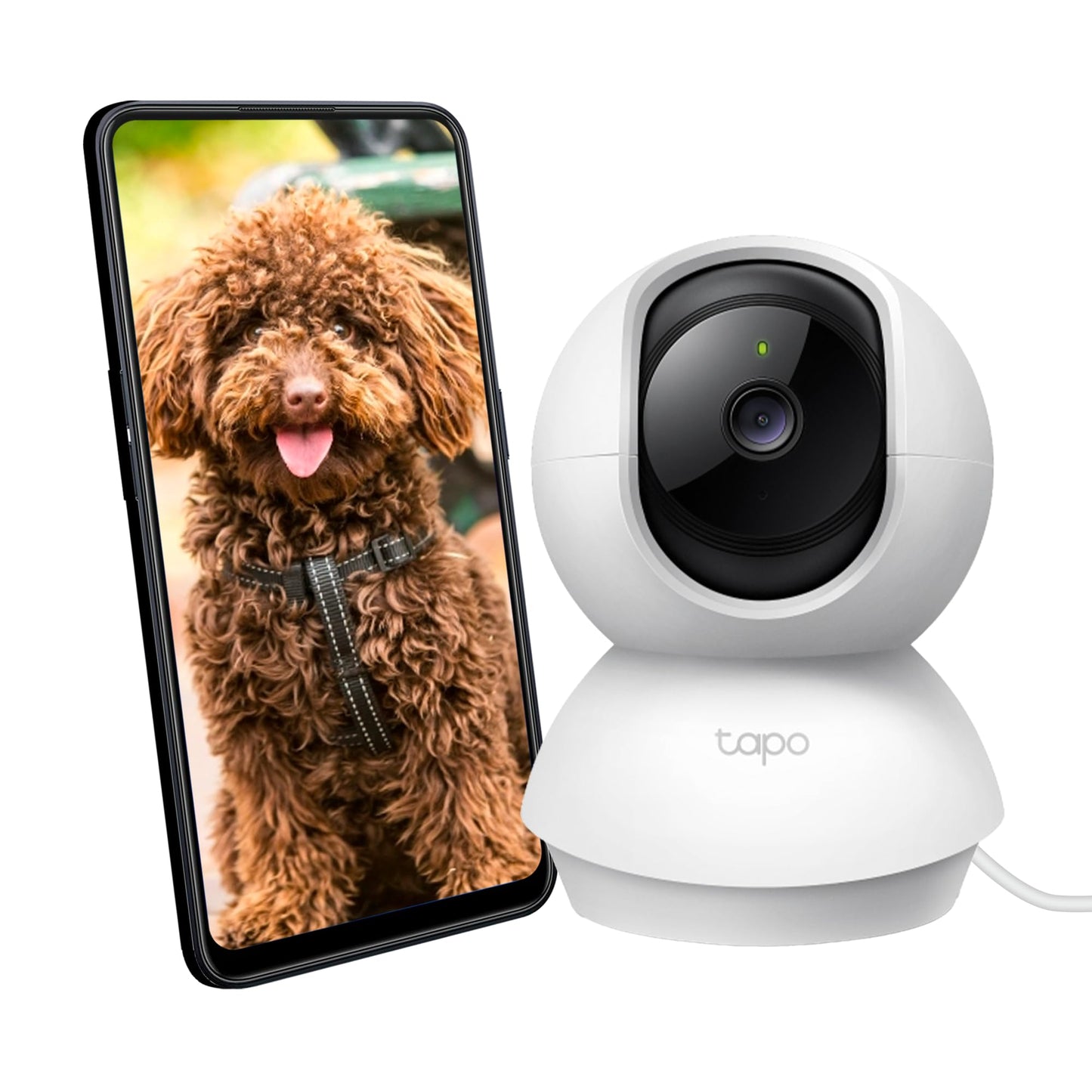 Tapo C210 2K 3MP Pan/Tilt Indoor Camera House Security Camera, WiFi Camera, No Monthly Fee, AI Detection, Dog Puppy Camera, Baby Camera Monitor, 360° View, Night Vision, Works with Alexa & Google