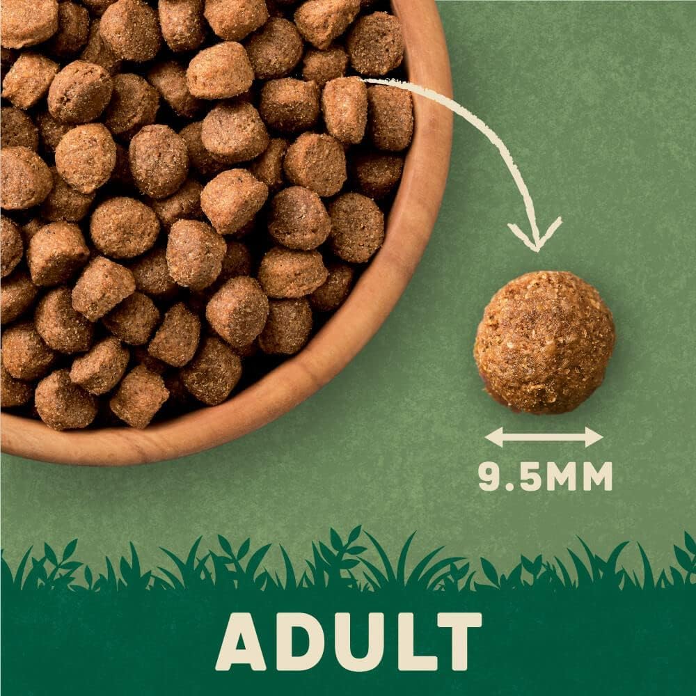 Harringtons Complete Dry Dog Food - Made with All Natural Ingredients