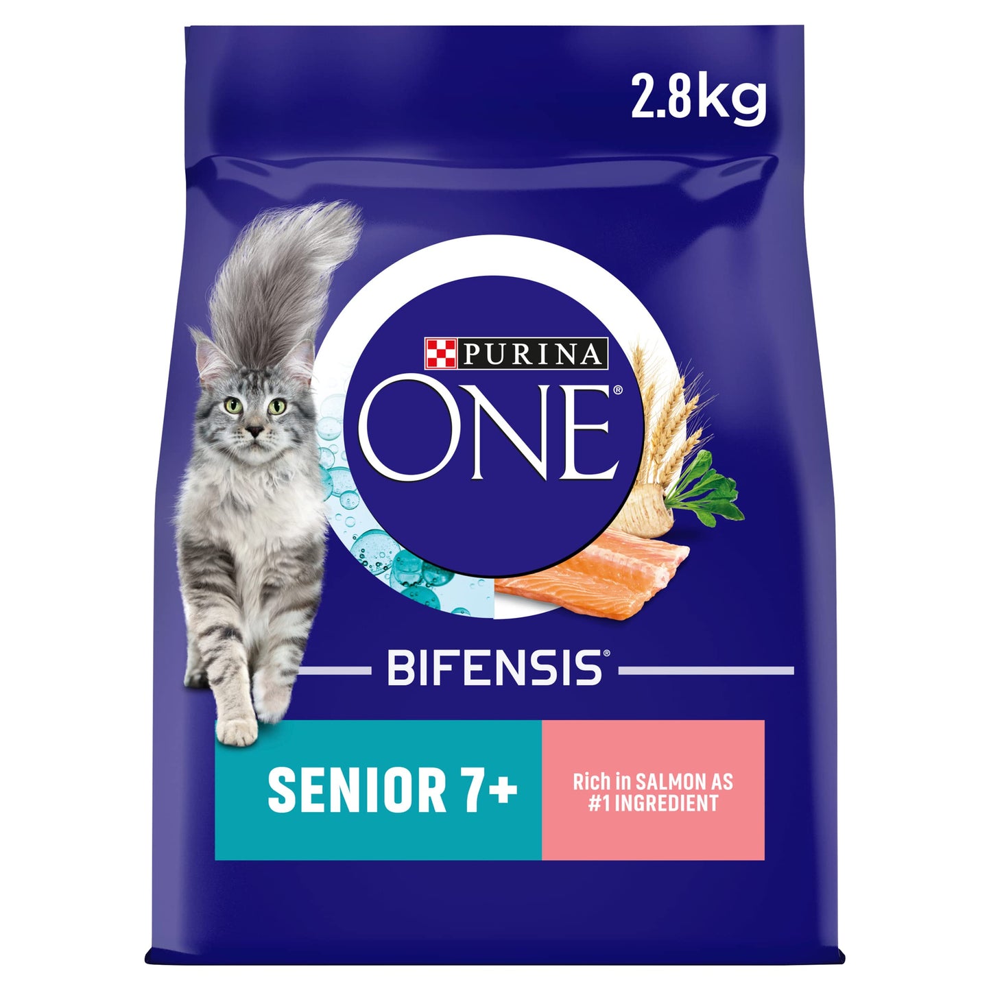 PURINA ONE Dry Cat Food