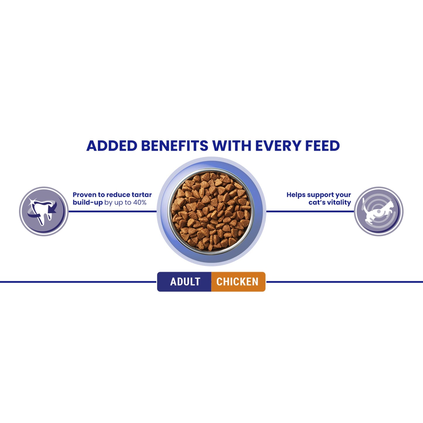 PURINA ONE Dry Cat Food