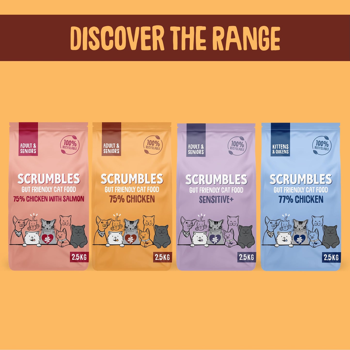Scrumbles All Natural Dry Cat Food With 75% Chicken and Fresh Salmon, High Protein Food for Adults And Seniors