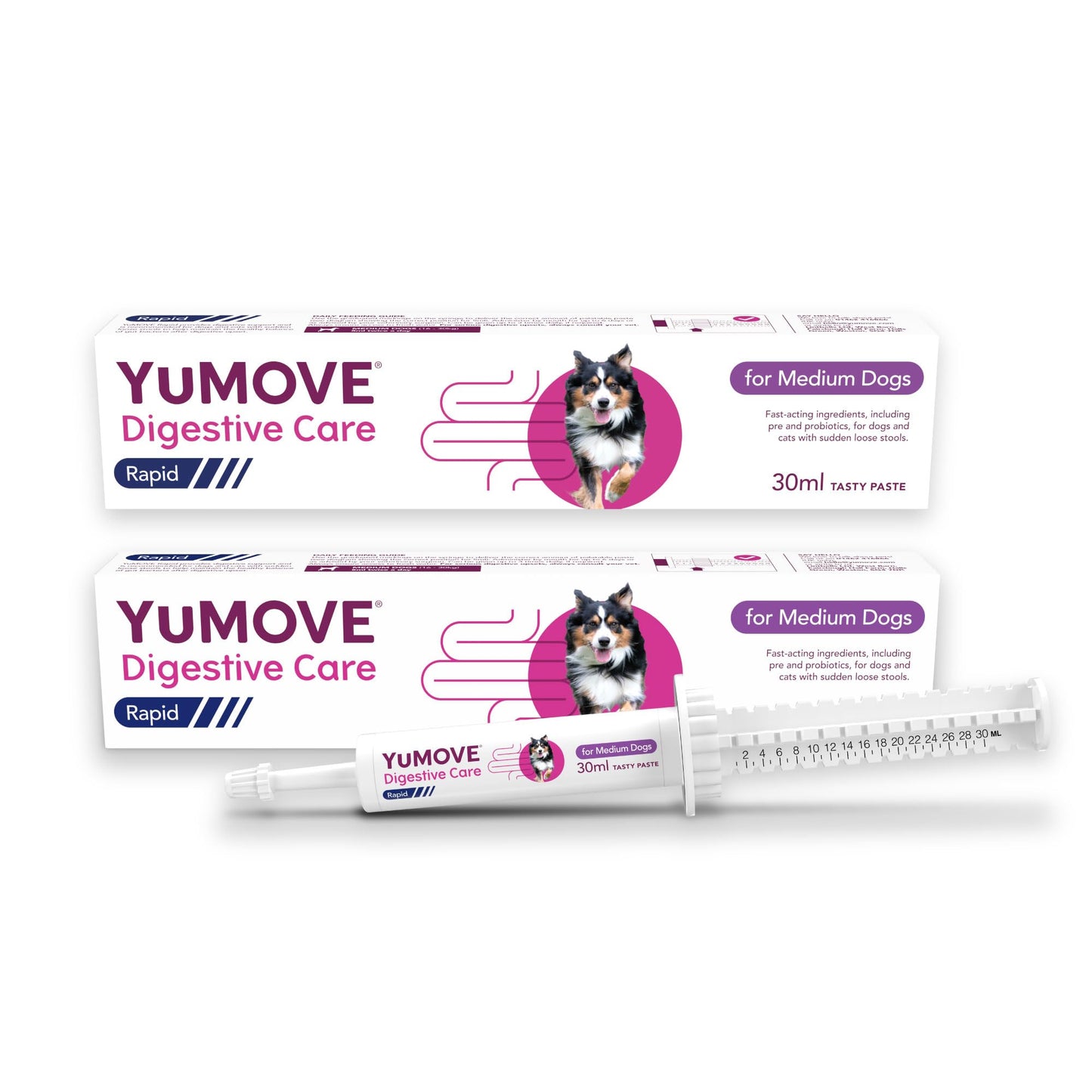 YuMOVE Digestive Care Rapid, Dog Pre and Probiotic Paste for Gut Health, Digestive Supplements with Fast-Acting Ingredients for Medium Dogs, 30ml
