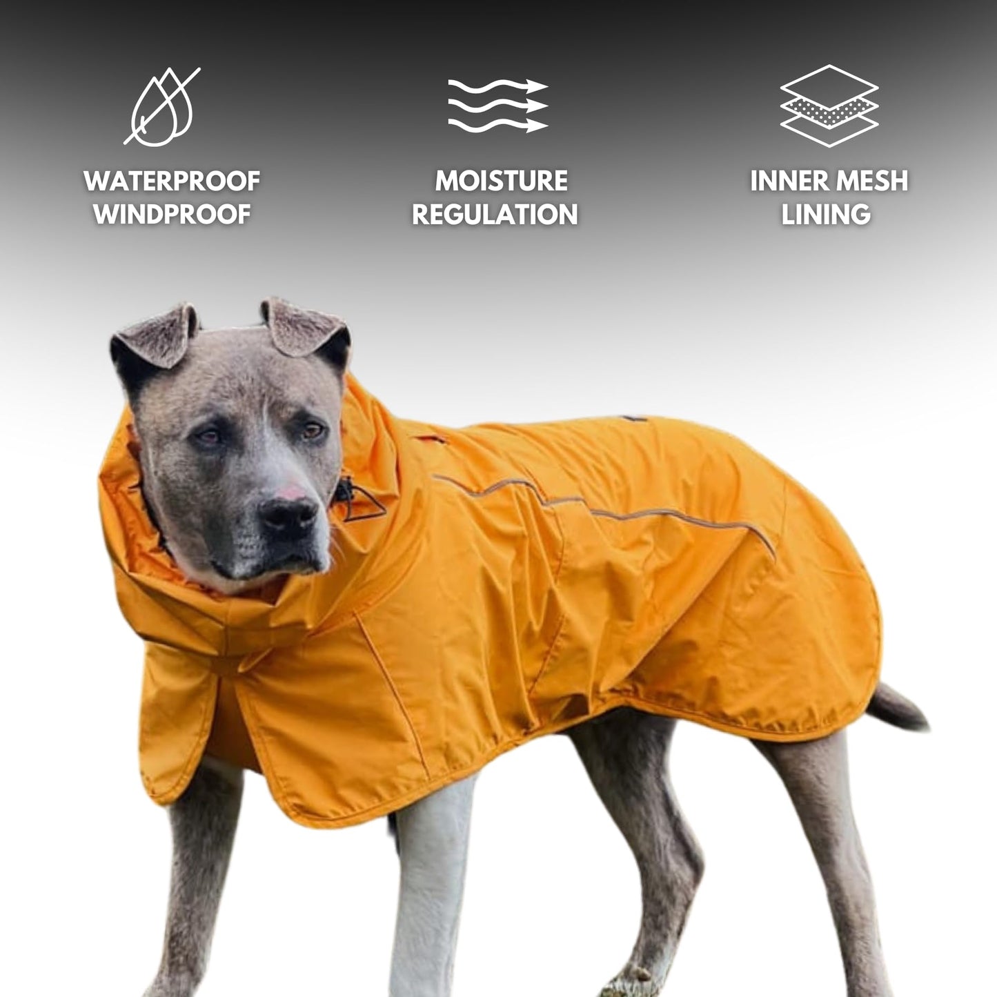 Spark Paws Dog Raincoat, Waterproof Windproof Rain Jacket, For Small Medium Large Extra Large Dogs, Reflective Breathable Full-body Coverage Dry Suit - Neon White Navy Blue, 2XL