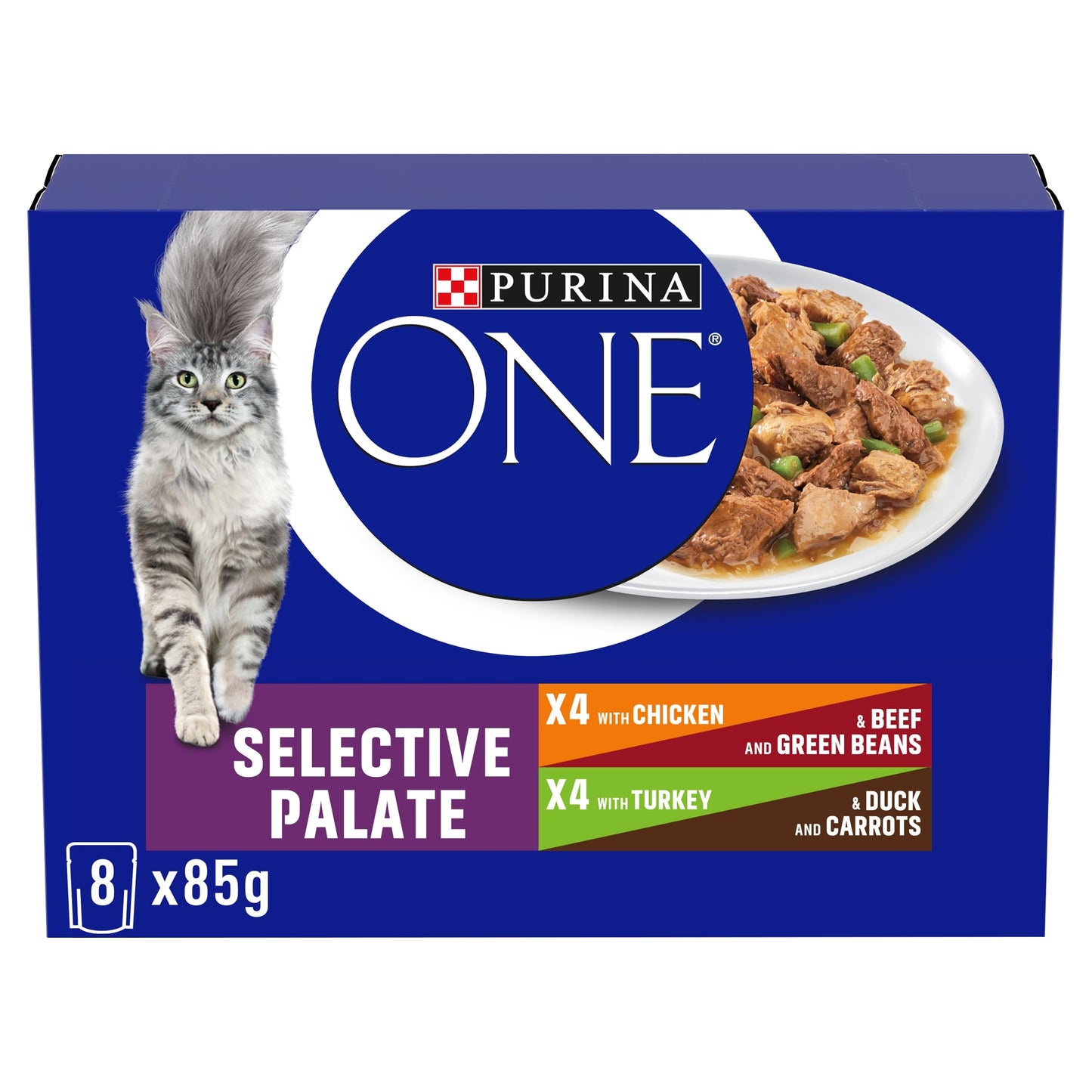 PURINA ONE Adult Cat Food Mini Fillets in Gravy 40 x 85g