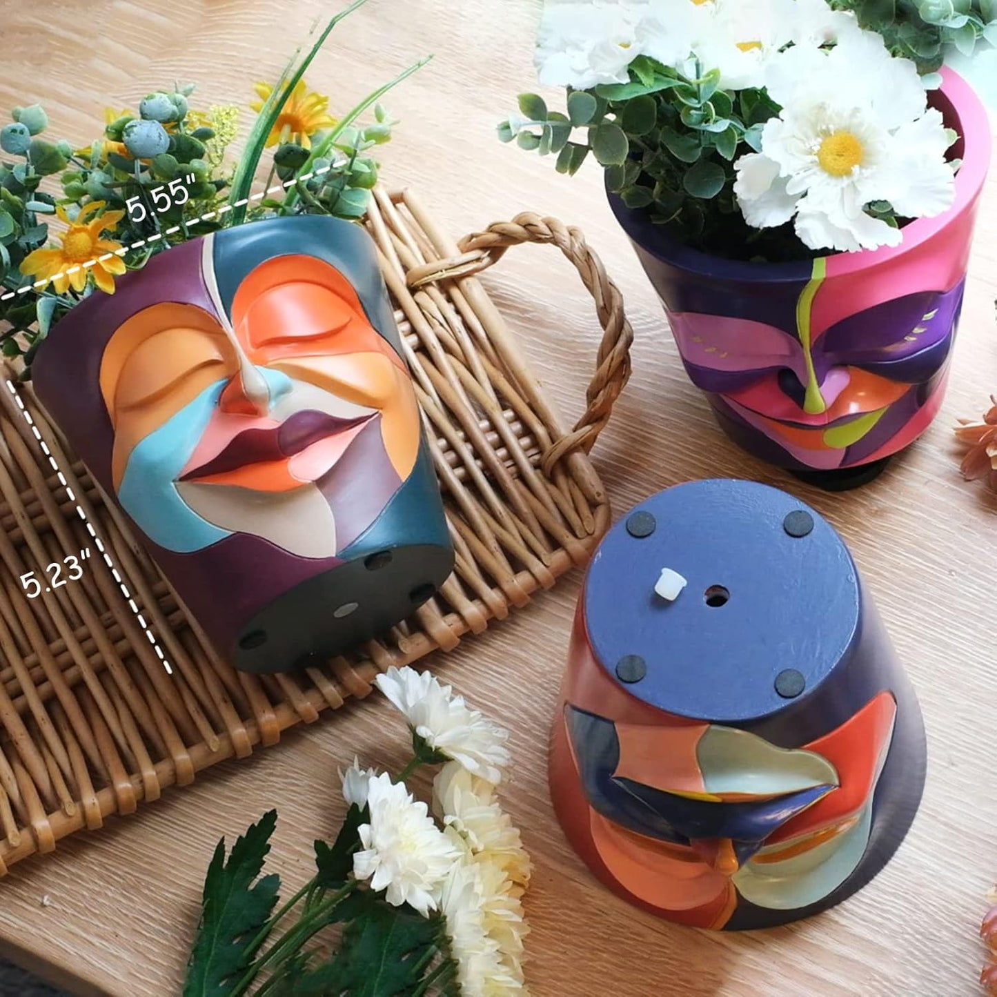 AmiCera Abstract Face Plant Pots, Funny Flower Planter Pot for Indoor Plants, Unique Cute Head Planters with Drainage, Eclectic Aesthetic Colourful Succulent Pots, Funky Garden Gift Home Decoration