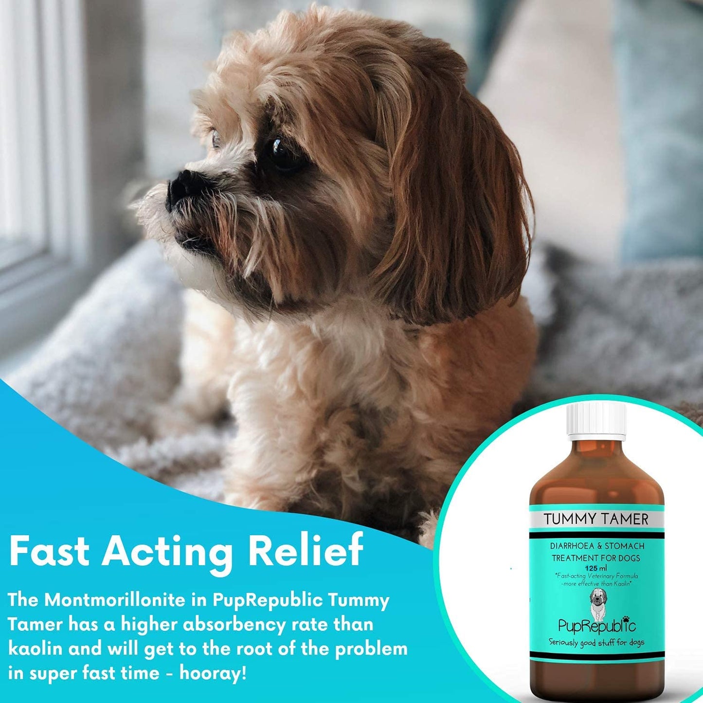 PupRepublic Fast Acting dog diarrhea treatment - Digestive Disorders - More Effective than Kaolin - Sickness & Allergy Relief for Dogs of All Breeds & Sizes