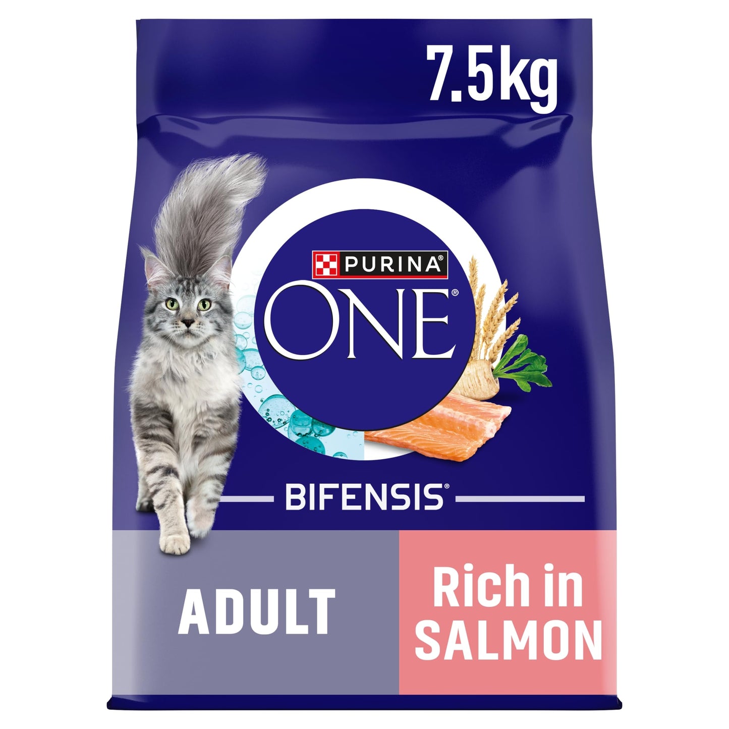 PURINA ONE Dry Cat Food