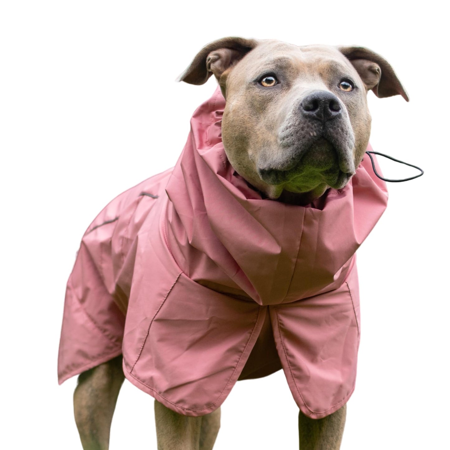 Spark Paws Dog Raincoat, Waterproof Windproof Rain Jacket, For Small Medium Large Extra Large Dogs, Reflective Breathable Full-body Coverage Dry Suit - Neon White Navy Blue, 2XL